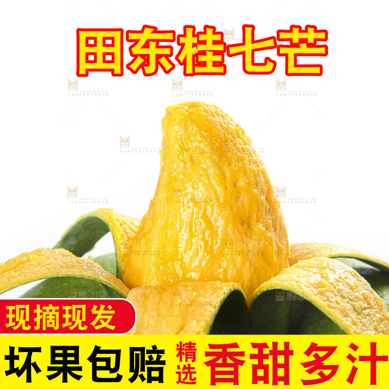 白底上的桂七香芒