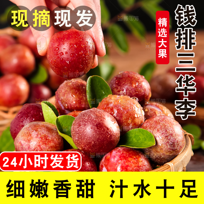 篮子里装着钱排三华李