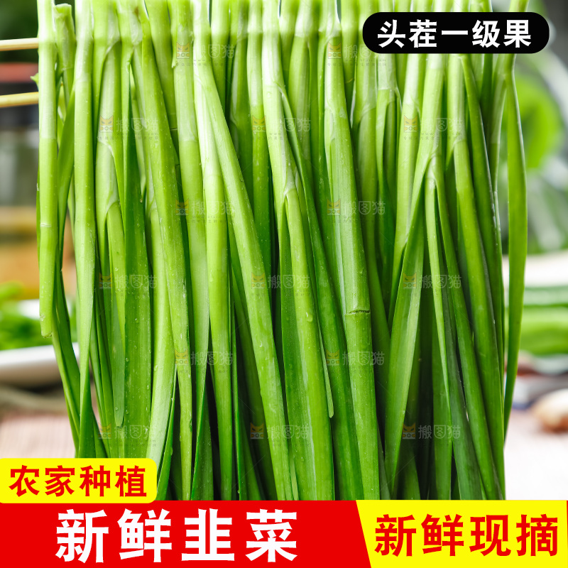 竹签串着新鲜韭菜