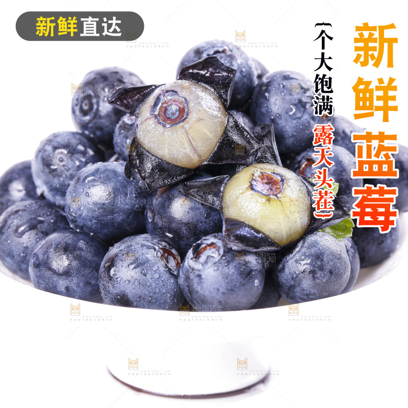 碟子里装着蓝莓果