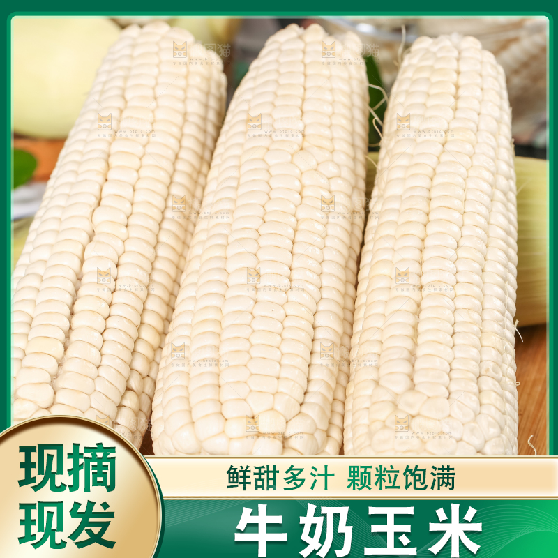 木板上摆放着漳州牛奶玉米