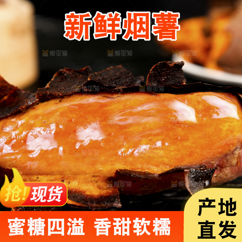 黑底上的山东烟薯