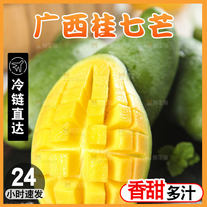 石板上的青皮桂七芒