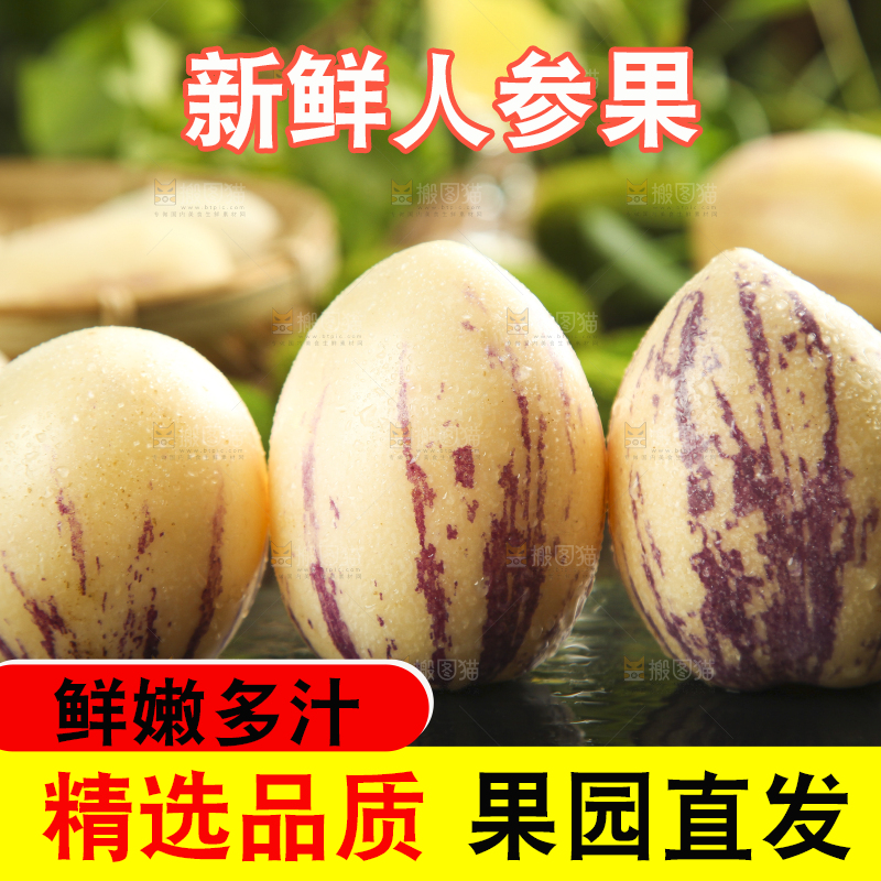 黑底上放着甘肃民勤人参果