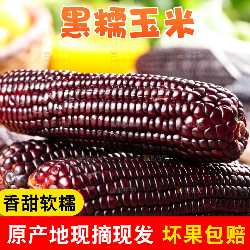 木板上放着黑玉米