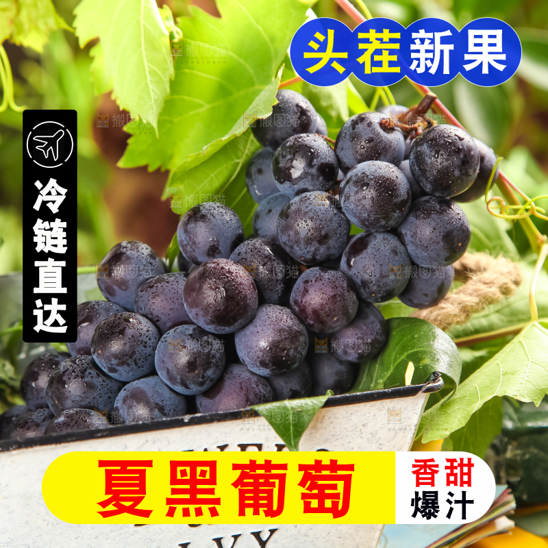 垫子上的云南夏黑无籽葡萄