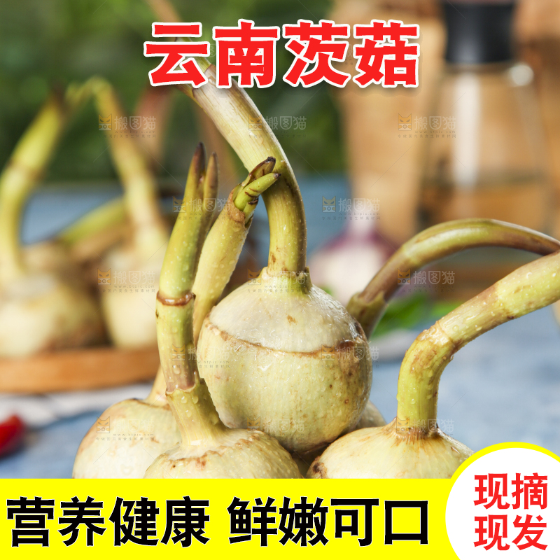 盘子里装着白慈菇
