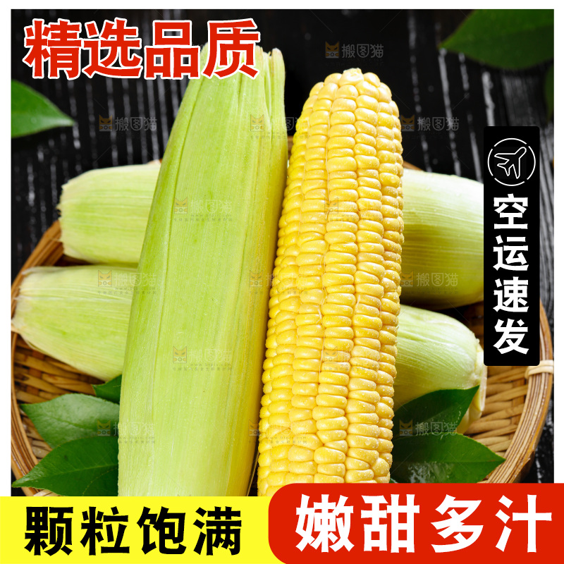篮子子装着玉米棒