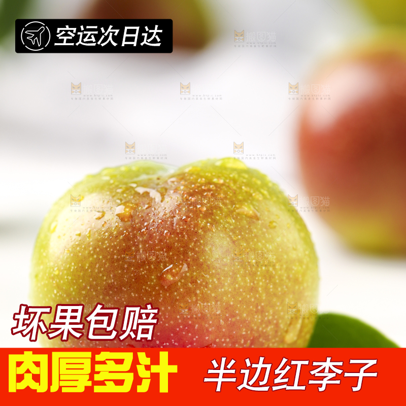 石板上摆放着四川茵红脱骨李