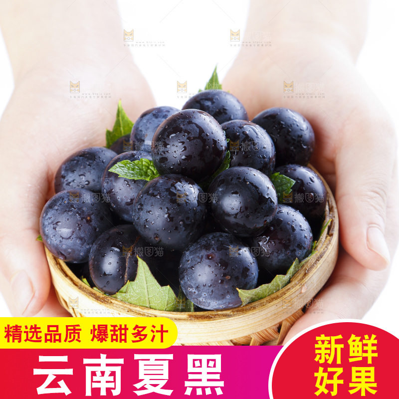 手里拿着黑加仑葡萄