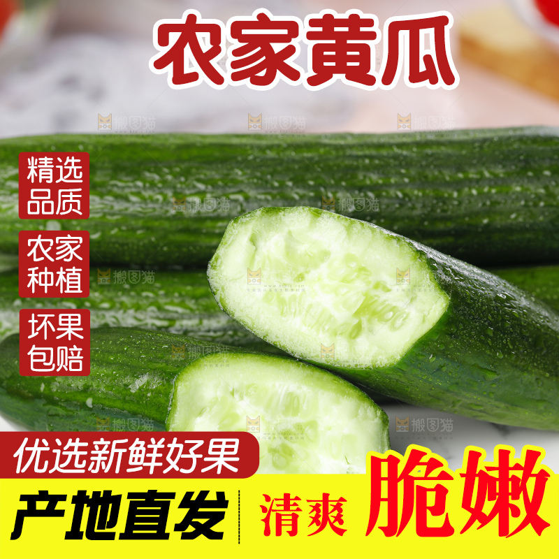 盘子里装着嫩黄瓜