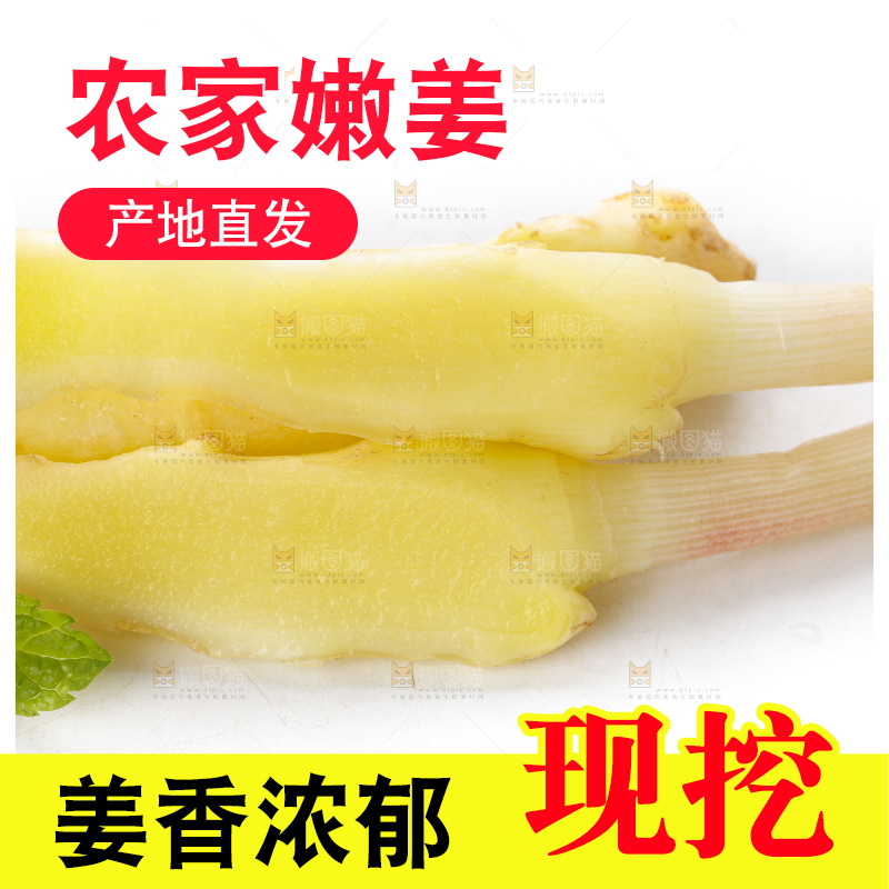 白底上的一堆新鲜生姜