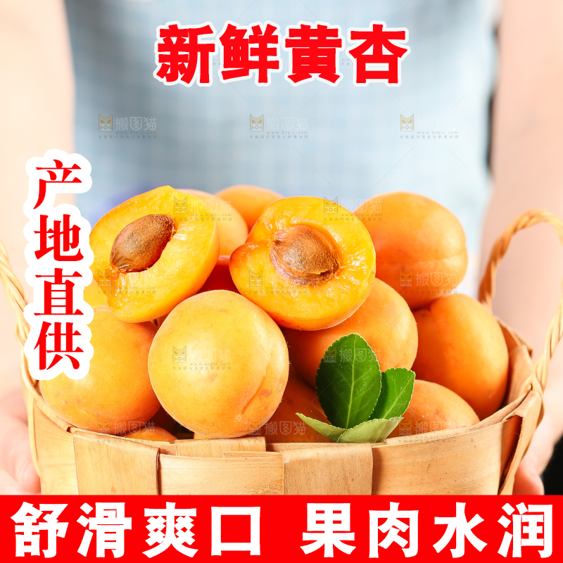 手里拿着一篮山东大黄杏