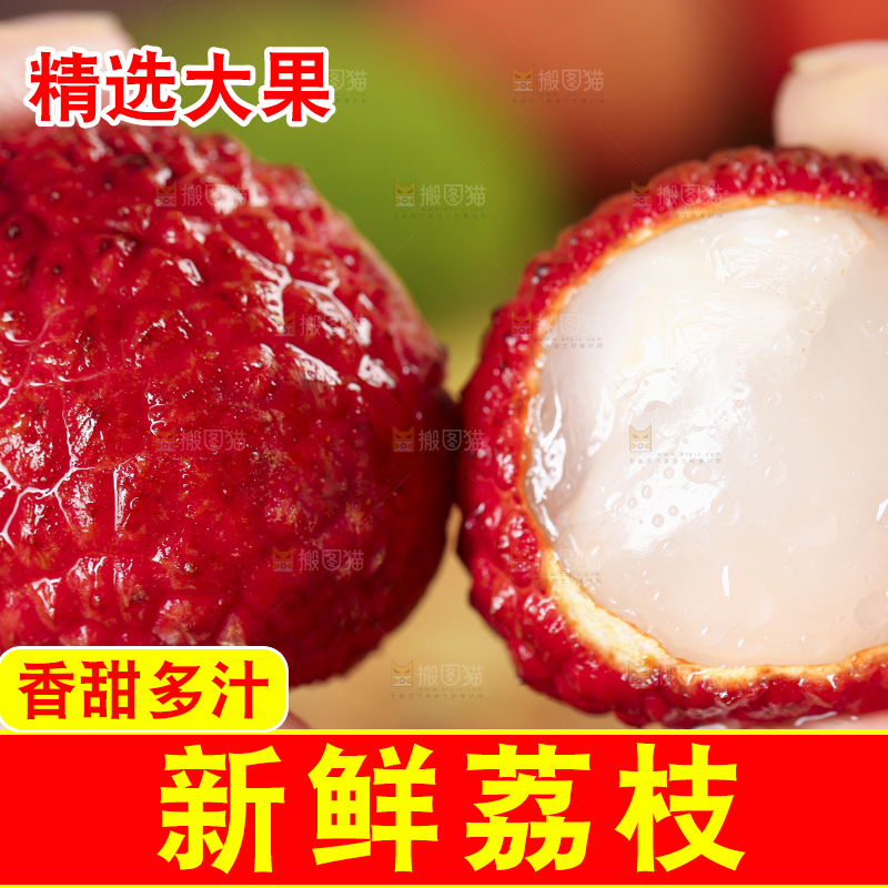 手里拿着广东茂名荔枝
