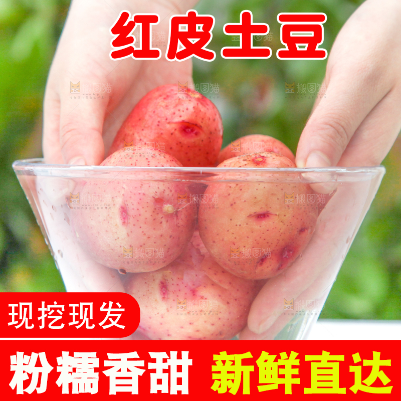 盆子里装着正在清洗的土豆