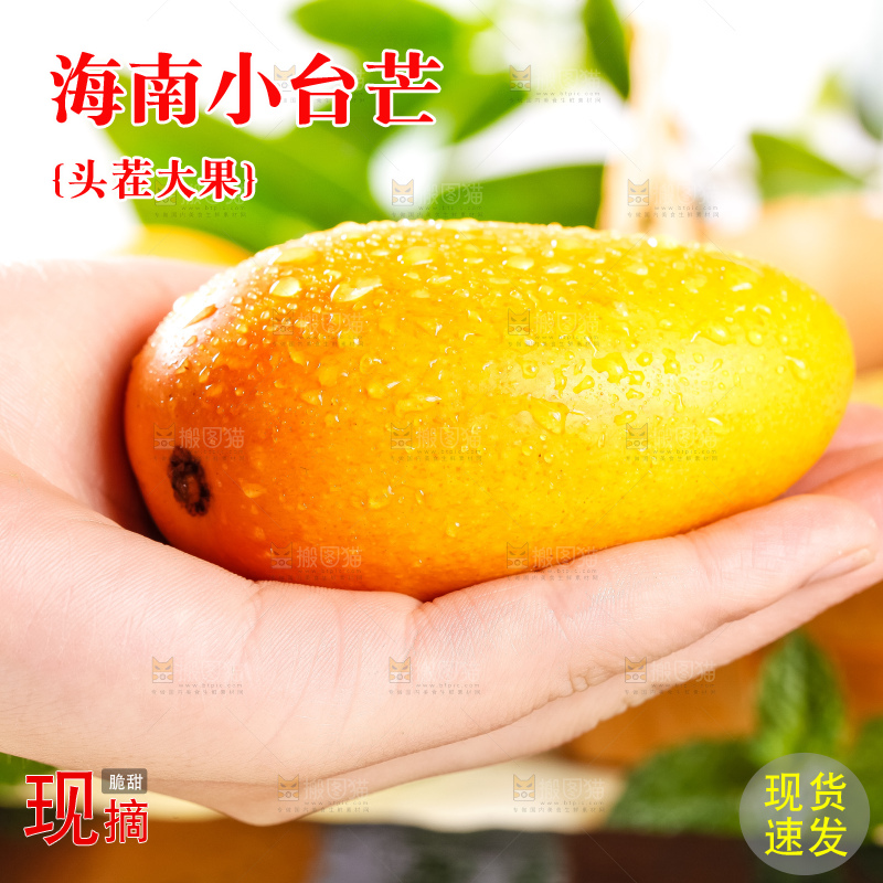 手里拿着小台芒