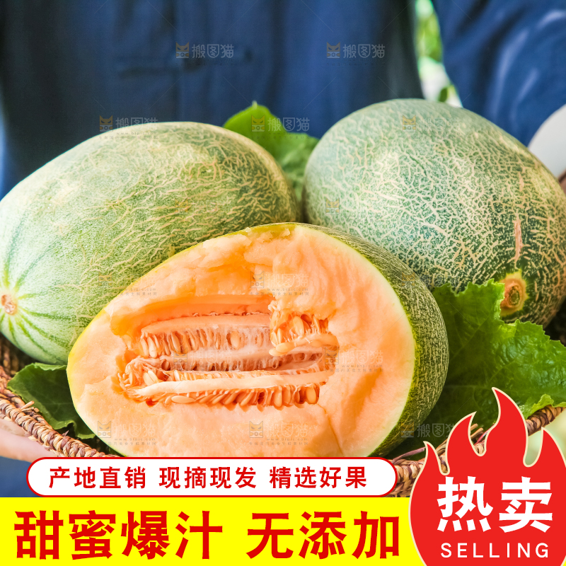 手里端着一篮网纹瓜
