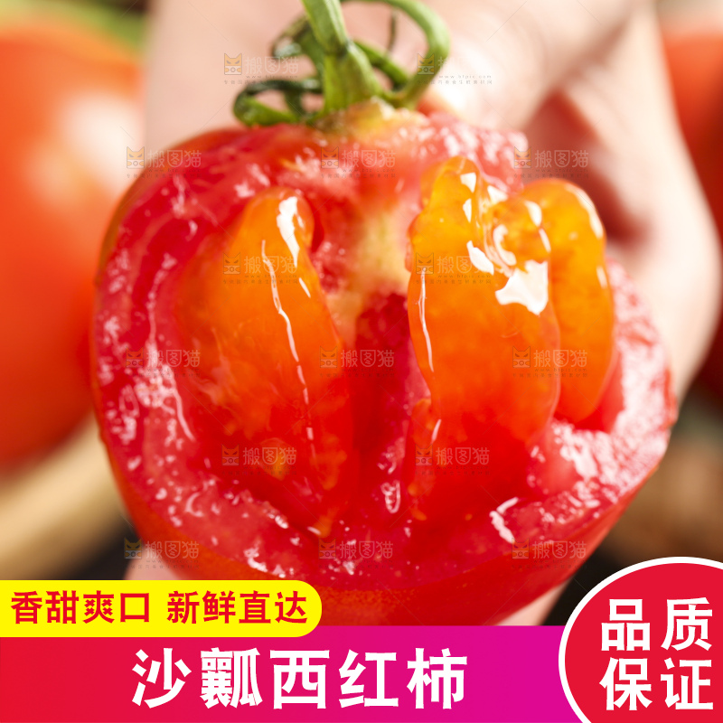 手里拿着新鲜西红柿