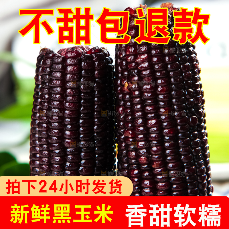 木底上放着东北黑玉米