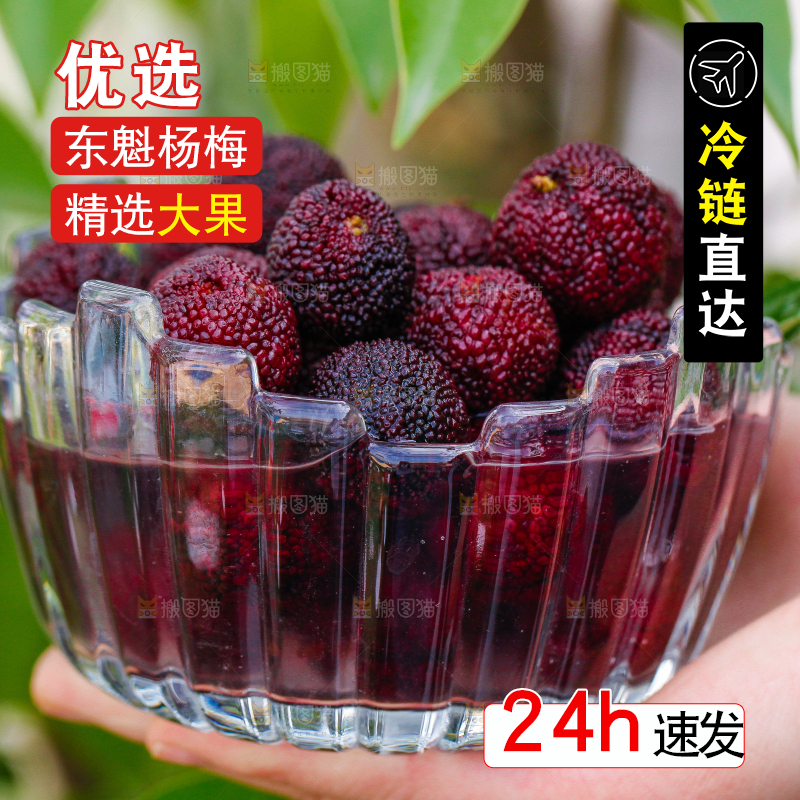 碟子里装着高山大杨梅