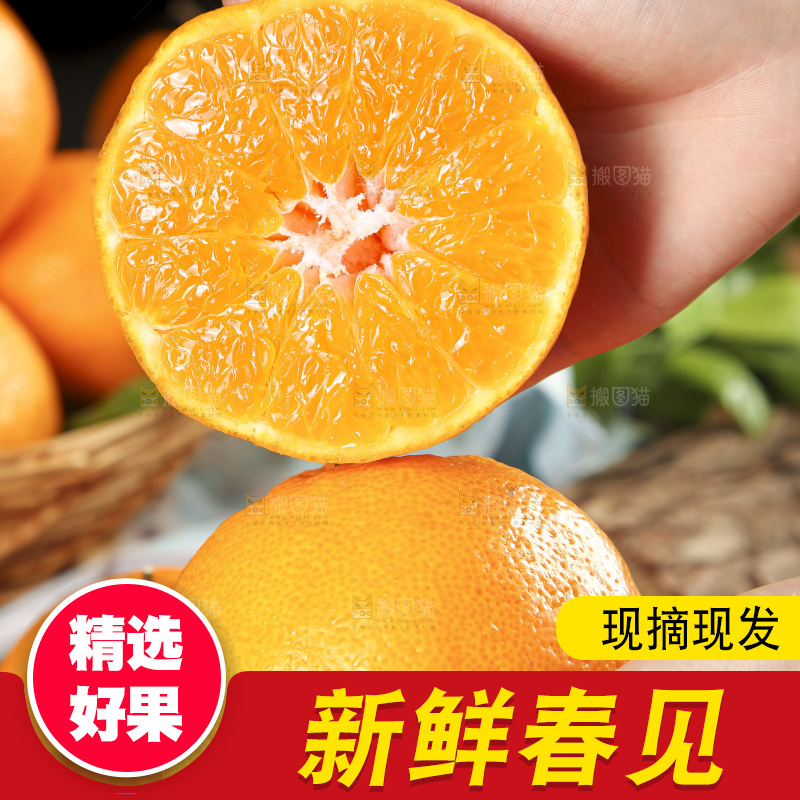 手里拿着四川耙耙柑