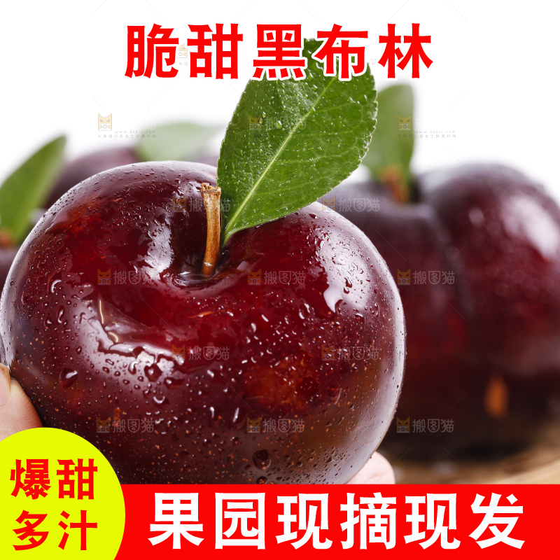篮子里装着黑李子