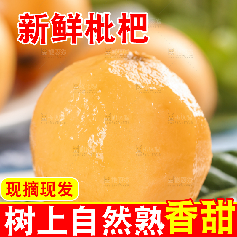 白底上摆放着枇杷