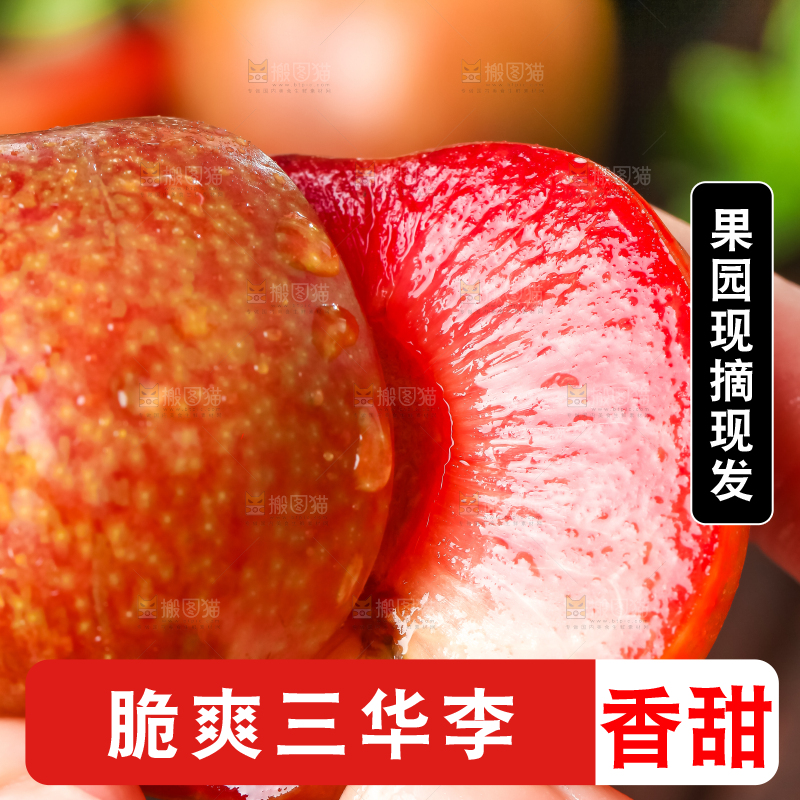 手里拿着红心三华李