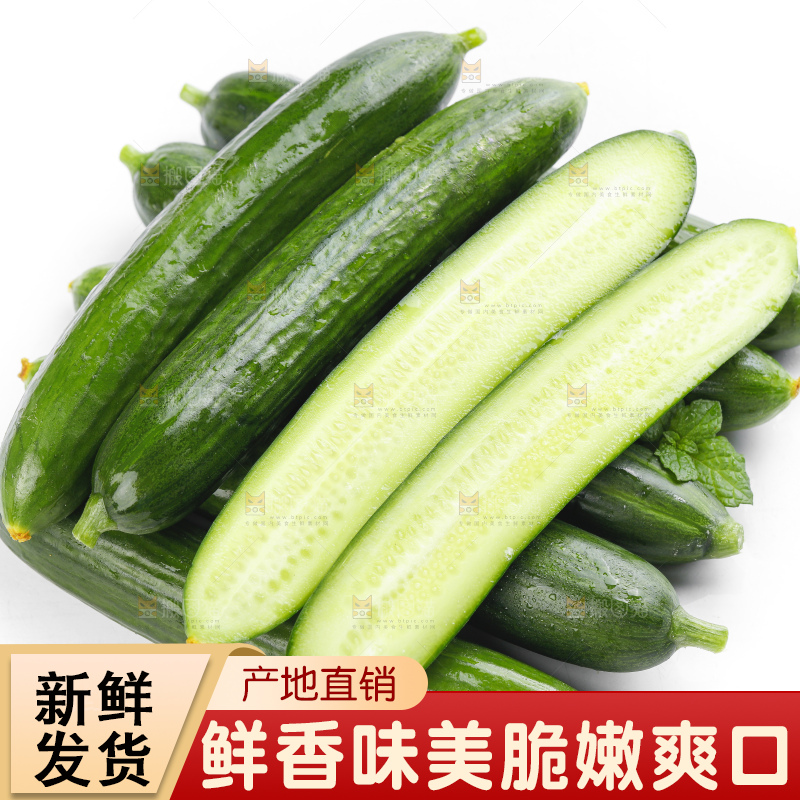 白底上摆放着嫩黄瓜