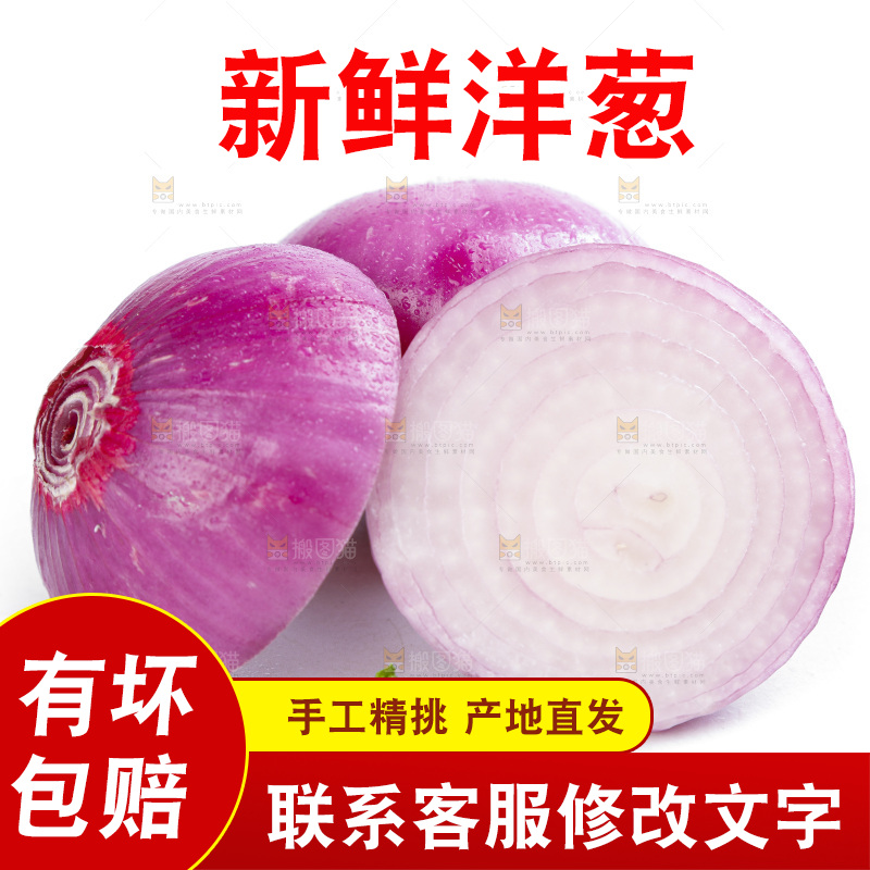 白底上的新鲜洋葱
