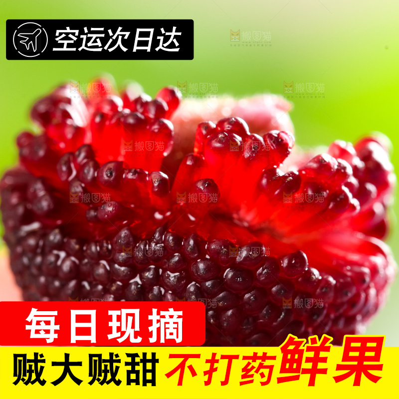 手里拿着杨梅