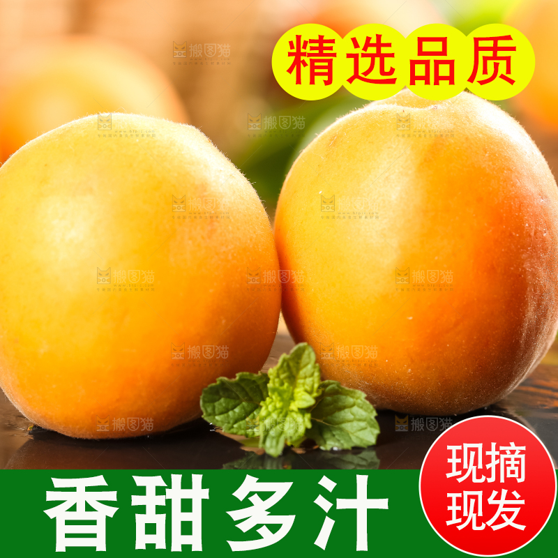 深底上放着黄杏