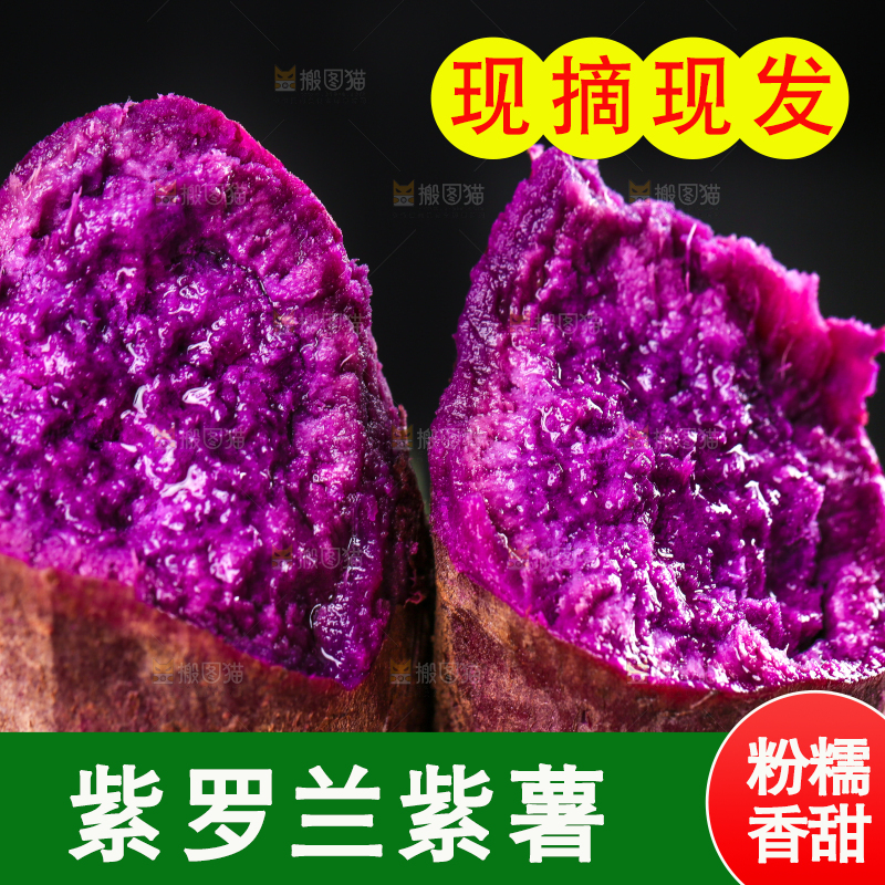 手里拿着紫番薯
