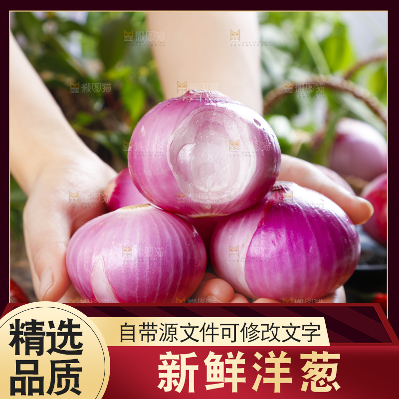 手里拿着新鲜洋葱