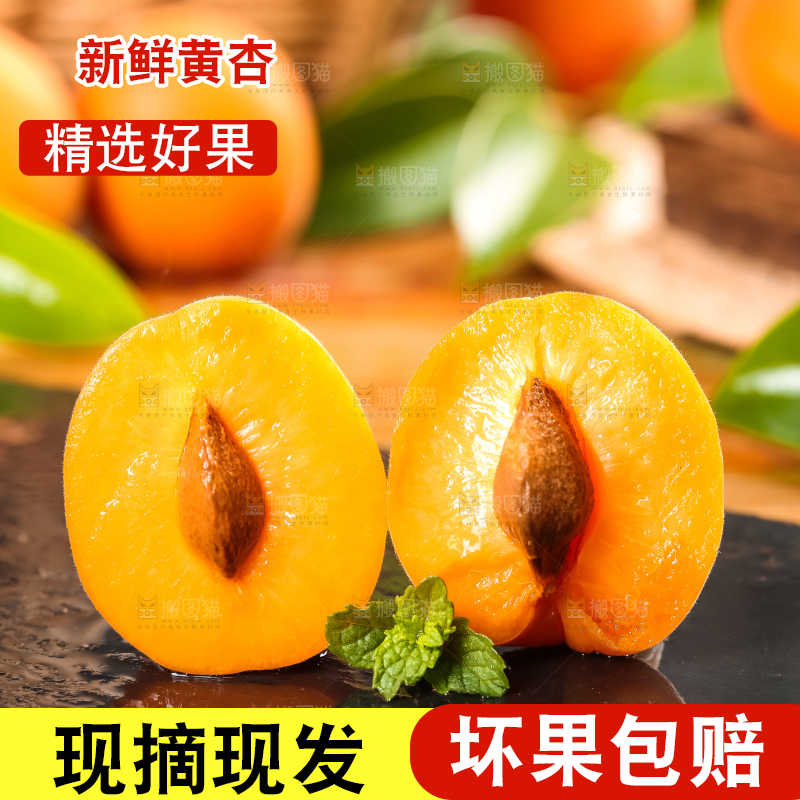 黑底上放着大黄杏