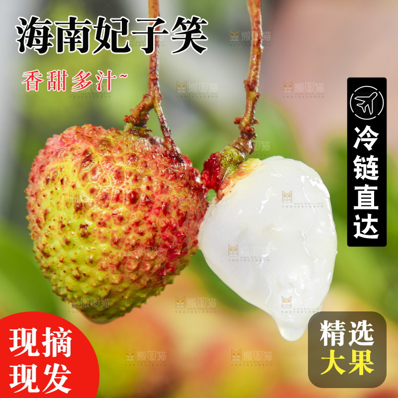 手里拿着妃子笑荔枝