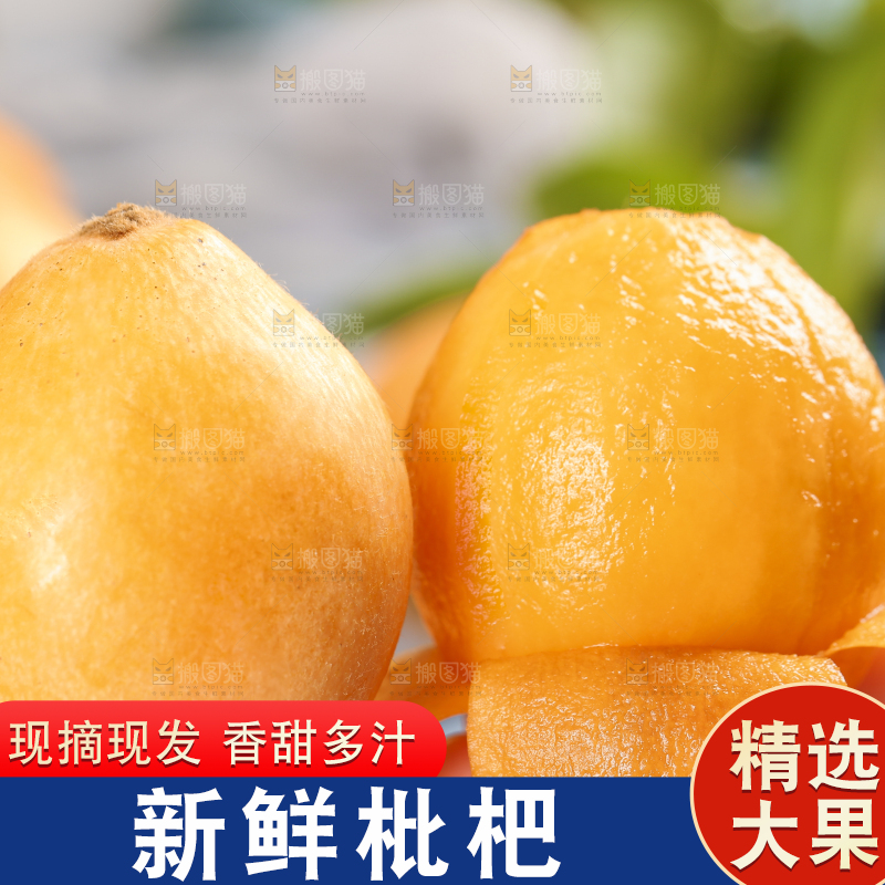 手里拿着枇杷果