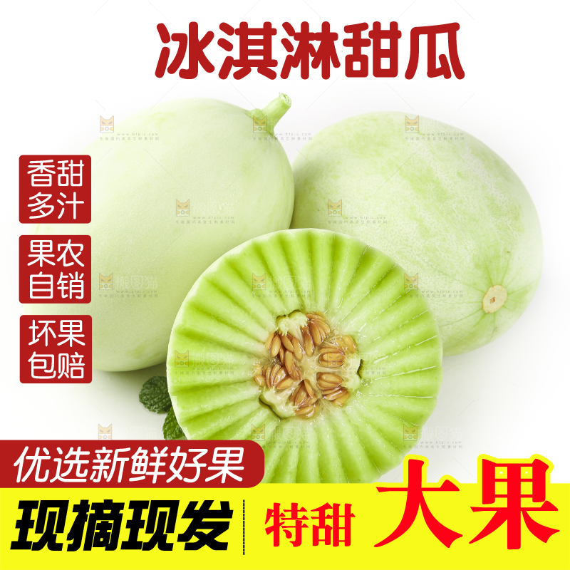 白底上摆放着南汇玉菇甜瓜