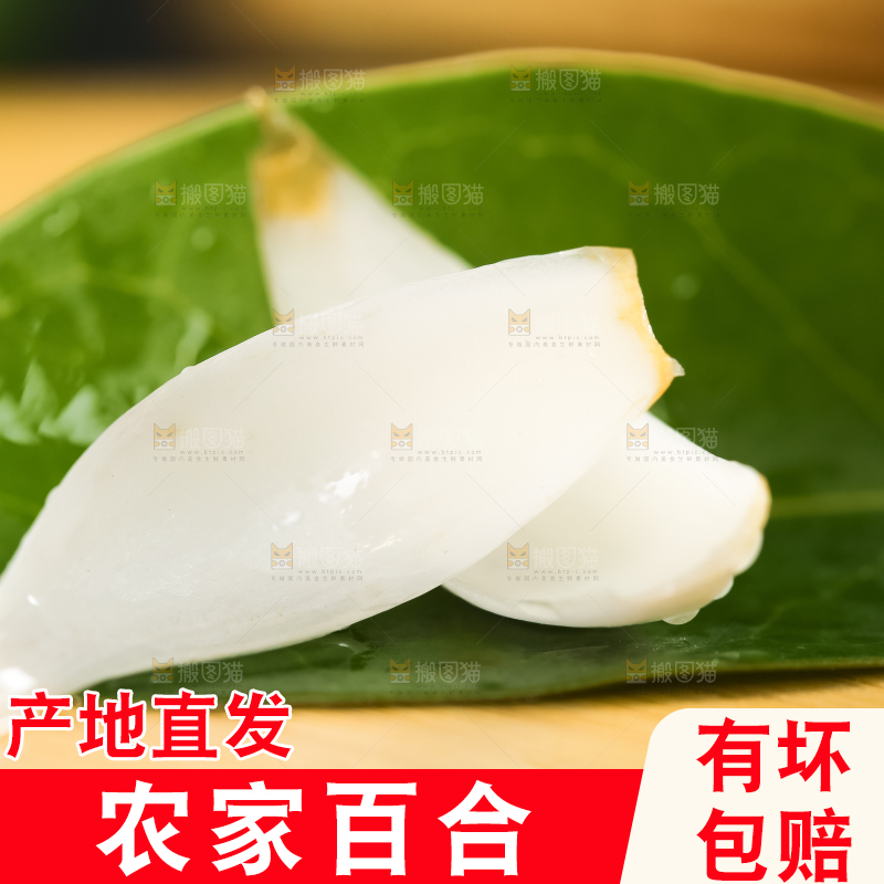 枝叶上摆放着百合