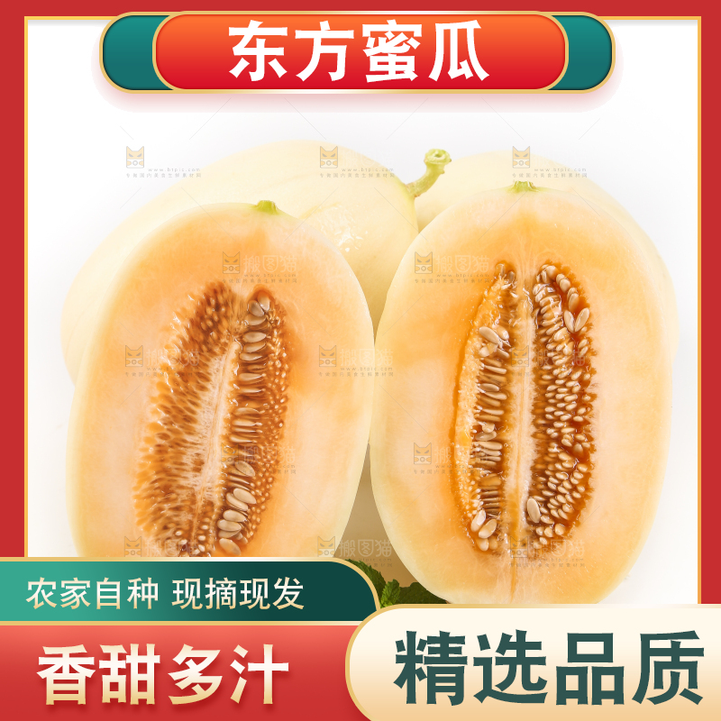 白底上放着东方蜜瓜