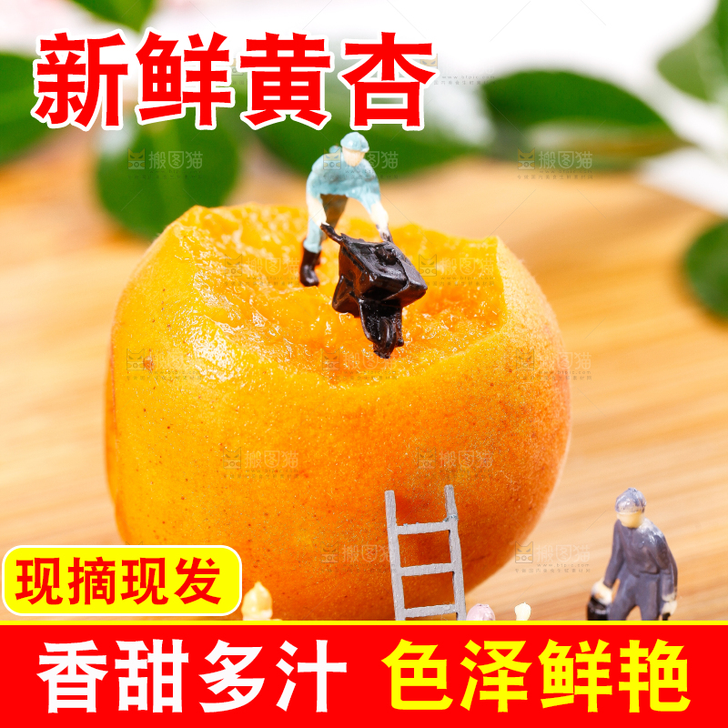 木底上放着新鲜大黄杏