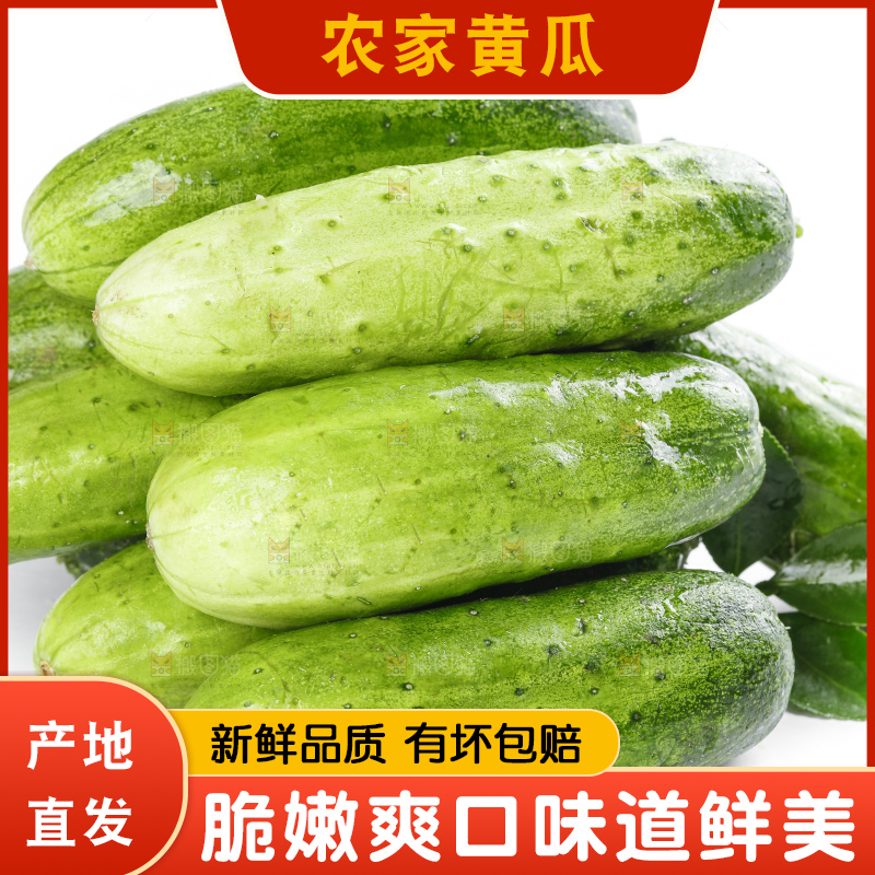 白底上放着刺黄瓜