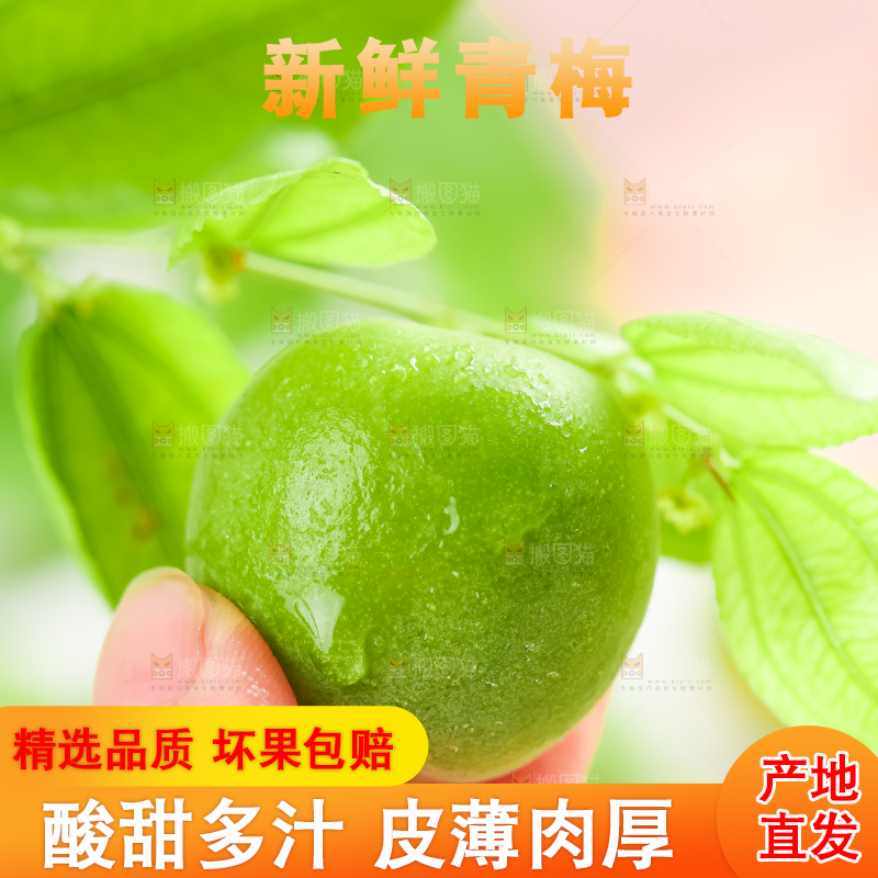 手上拿着新鲜青梅