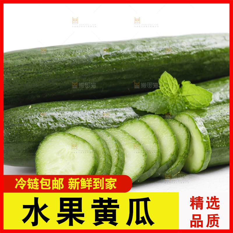 白底上的山东水果黄瓜