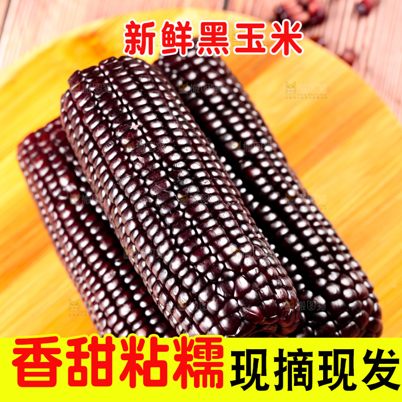 木板上摆放着紫玉米