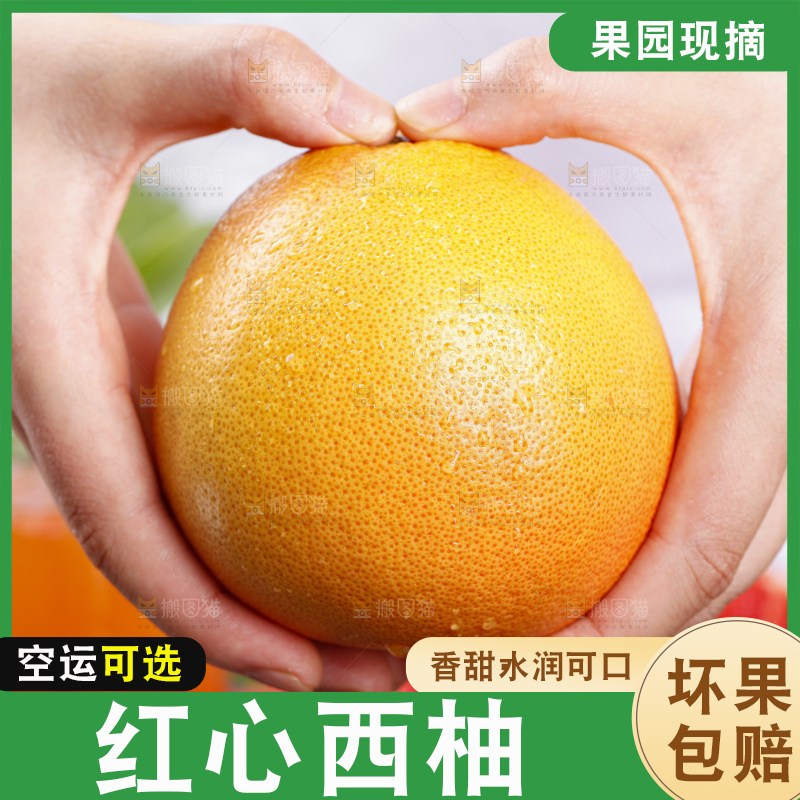 手里拿着南非红西柚