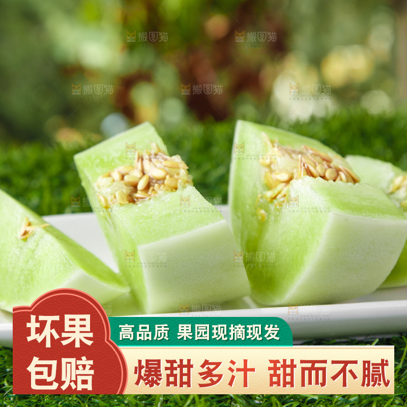 绿草地上摆放着玉菇甜瓜