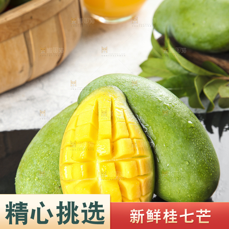石板上的青皮桂七芒