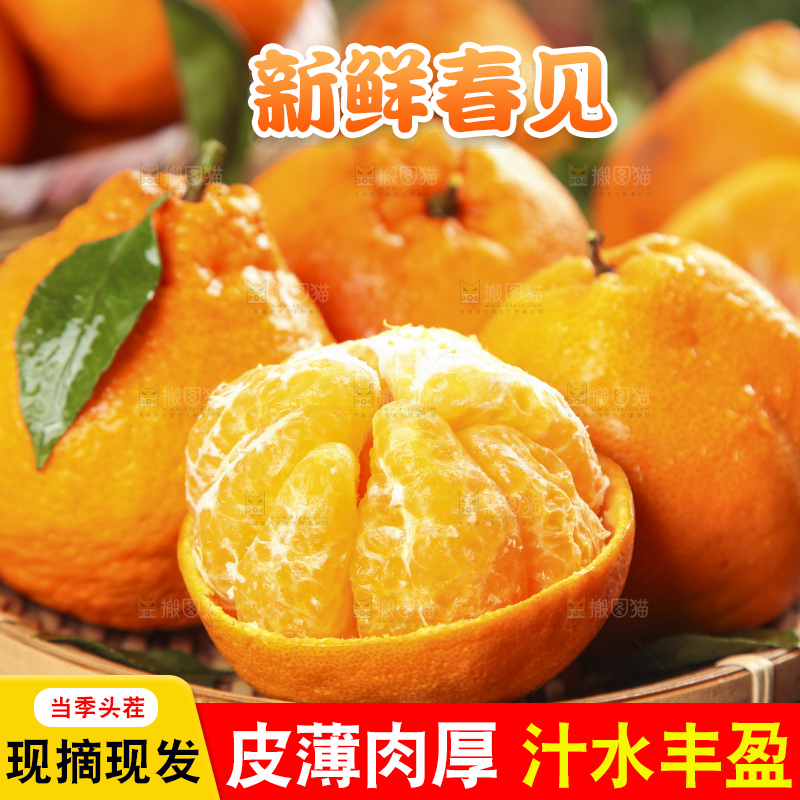 篮子里装着一堆四川春见耙耙柑