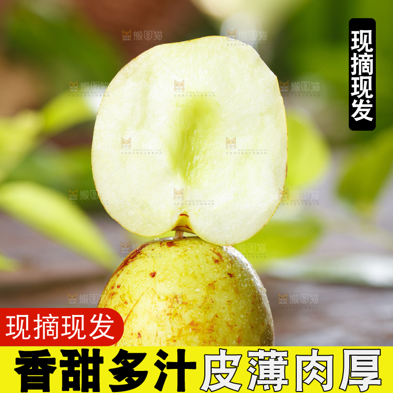 板子上的冬枣
